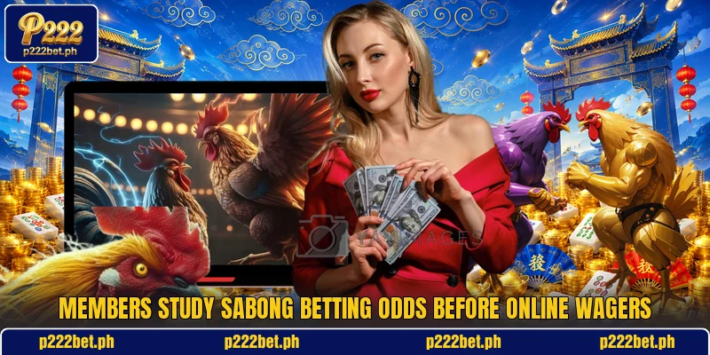 Members study Sabong Betting Odds before online wagers