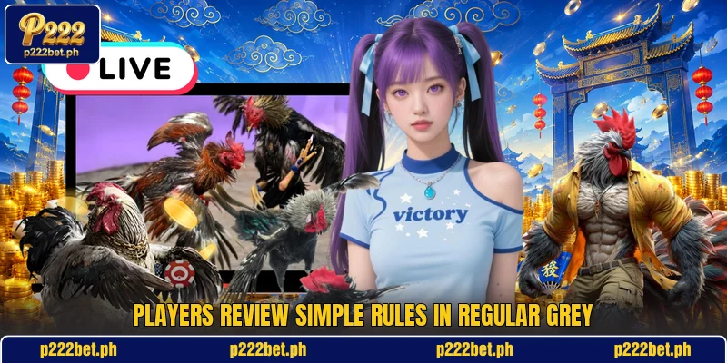 Players review simple rules in Regular Grey Players review simple rules in Regular Grey