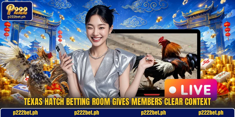 Texas Hatch betting room gives members clear context Texas Hatch betting room gives members clear context